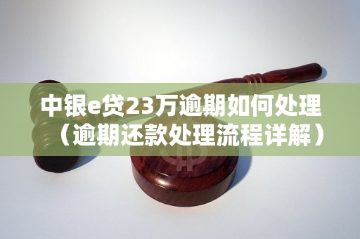 中银e贷23万逾期如何处理（逾期还款处理流程详解）