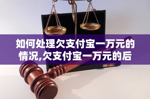 如何处理欠支付宝一万元的情况,欠支付宝一万元的后果及解决办法