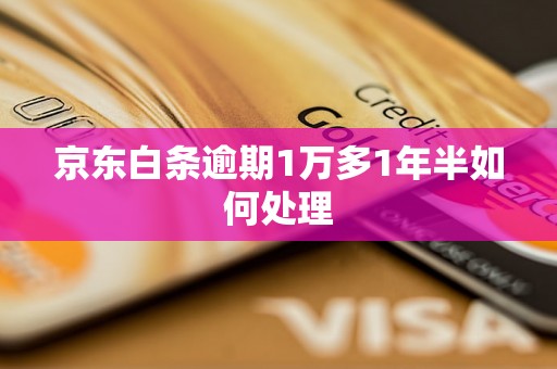 京东白条逾期1万多1年半如何处理