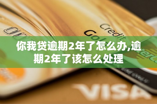 你我贷逾期2年了怎么办,逾期2年了该怎么处理