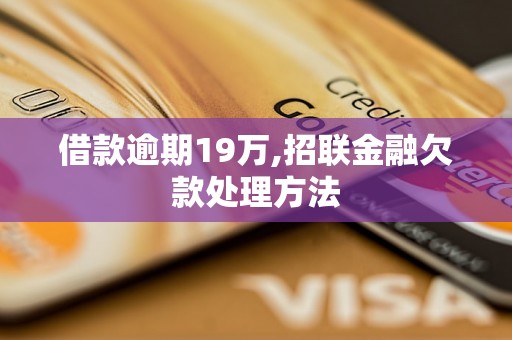 借款逾期19万,招联金融欠款处理方法