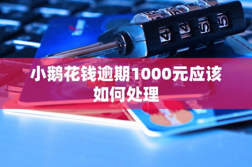 小鹅花钱逾期1000元应该如何处理