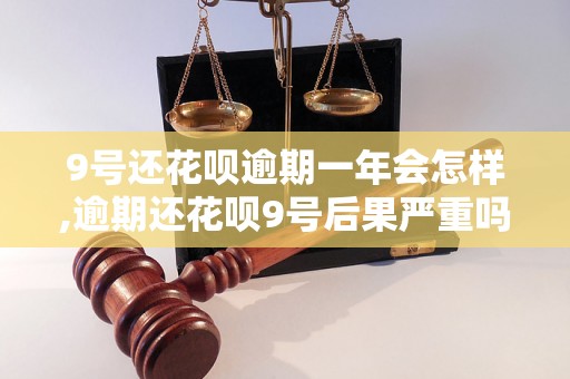 9号还花呗逾期一年会怎样,逾期还花呗9号后果严重吗