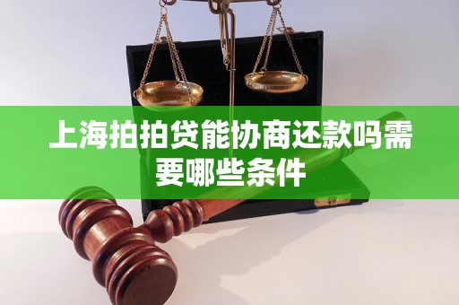 上海拍拍贷能协商还款吗需要哪些条件