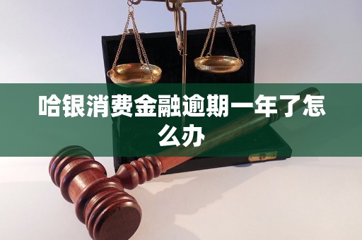 哈银消费金融逾期一年了怎么办