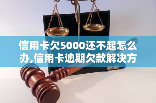 信用卡欠5000还不起怎么办,信用卡逾期欠款解决方法