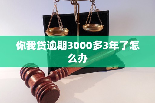 你我贷逾期3000多3年了怎么办