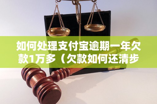 如何处理支付宝逾期一年欠款1万多（欠款如何还清步骤详解）