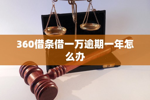 360借条借一万逾期一年怎么办