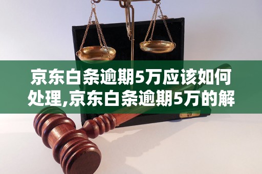 京东白条逾期5万应该如何处理,京东白条逾期5万的解决办法