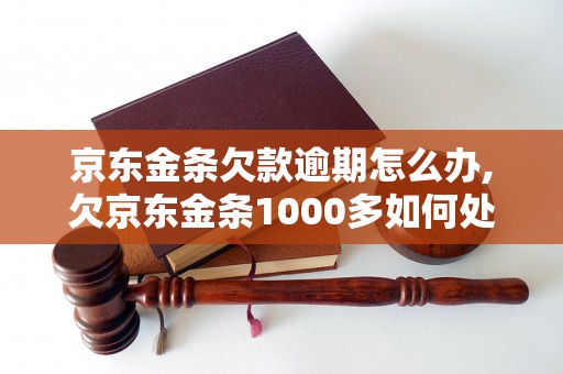 京东金条欠款逾期怎么办,欠京东金条1000多如何处理