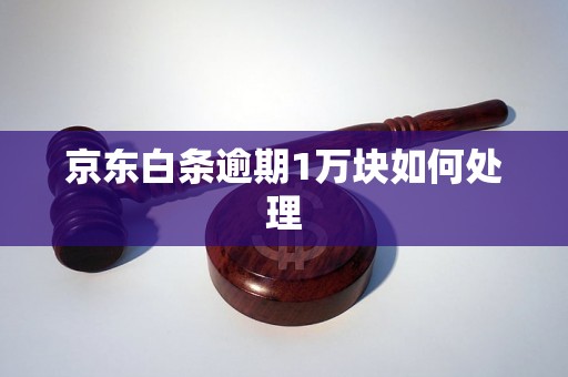 京东白条逾期1万块如何处理