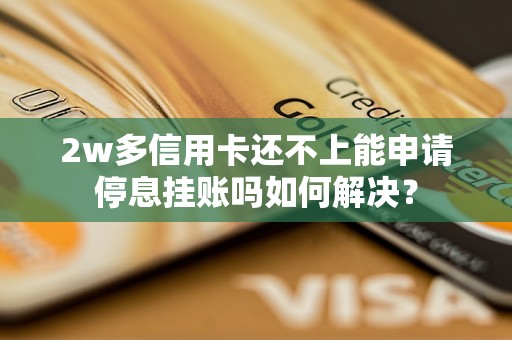 2w多信用卡还不上能申请停息挂账吗如何解决？