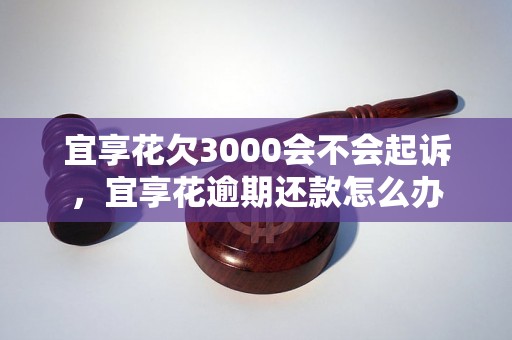 宜享花欠3000会不会起诉，宜享花逾期还款怎么办