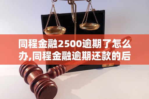 同程金融2500逾期了怎么办,同程金融逾期还款的后果