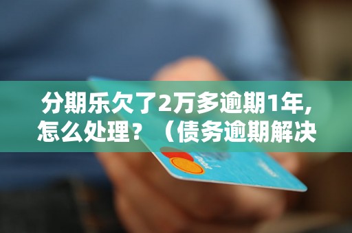 分期乐欠了2万多逾期1年,怎么处理？（债务逾期解决方案）