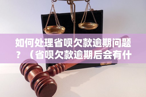 如何处理省呗欠款逾期问题？（省呗欠款逾期后会有什么后果）