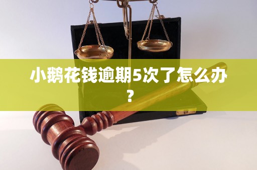 小鹅花钱逾期5次了怎么办？