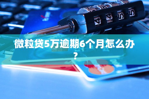 微粒贷5万逾期6个月怎么办? 微粒贷5万逾期6个月怎么办?