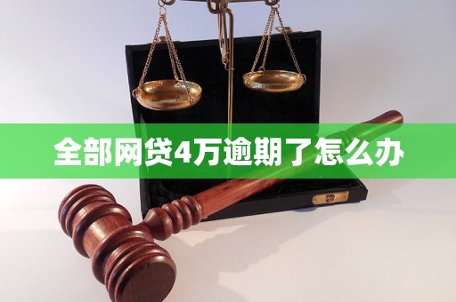 全部网贷4万逾期了怎么办