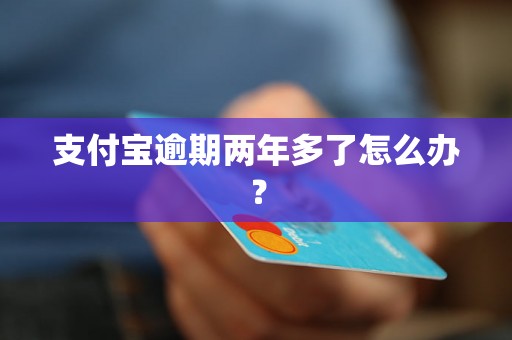 支付宝逾期两年多了怎么办？