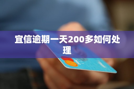 宜信逾期一天200多如何处理