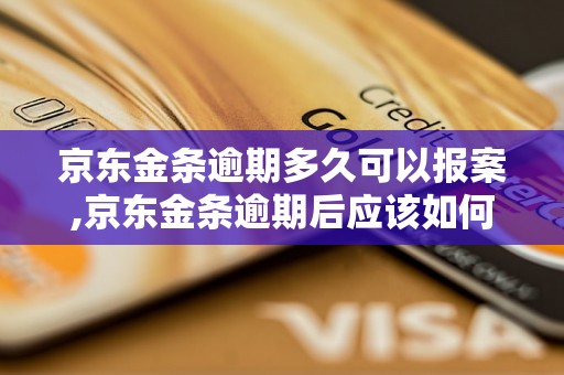 京东金条逾期多久可以报案,京东金条逾期后应该如何处理