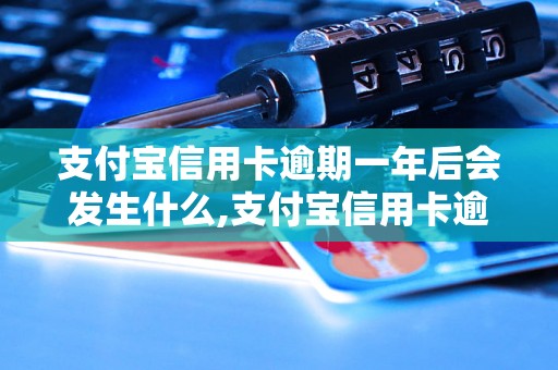 支付宝信用卡逾期一年后会发生什么,支付宝信用卡逾期一年后怎么处理