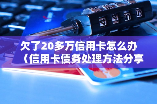 欠了20多万信用卡怎么办（信用卡债务处理方法分享）