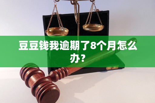 豆豆钱我逾期了8个月怎么办？