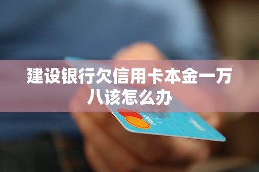 建设银行欠信用卡本金一万八该怎么办