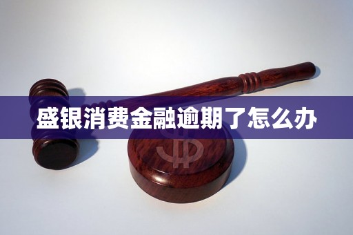 盛银消费金融逾期了怎么办