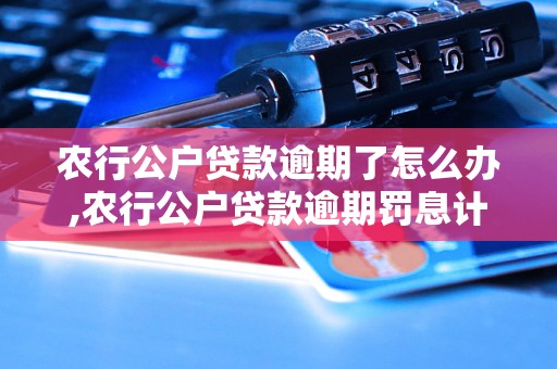 农行公户贷款逾期了怎么办,农行公户贷款逾期罚息计算公式