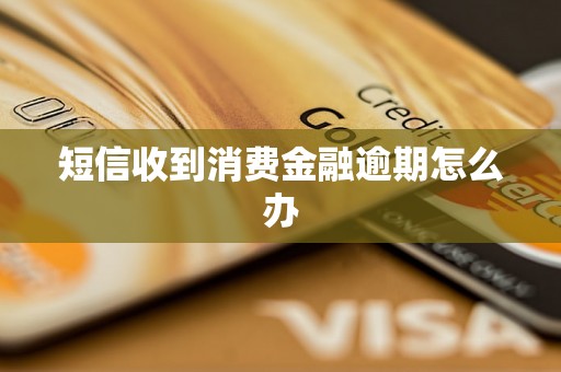 短信收到消费金融逾期怎么办