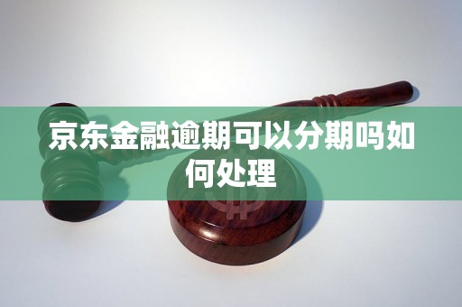 京东金融逾期可以分期吗如何处理