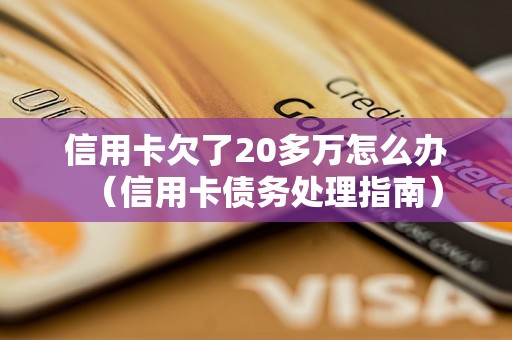 信用卡欠了20多万怎么办（信用卡债务处理指南）