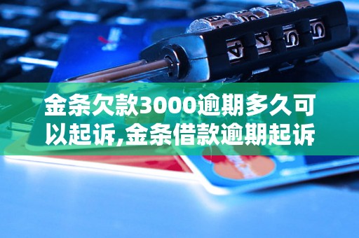 金条欠款3000逾期多久可以起诉,金条借款逾期起诉的法律程序