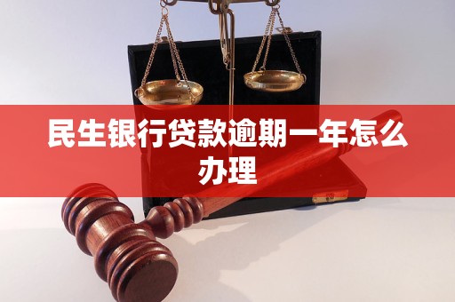 民生银行贷款逾期一年怎么办理