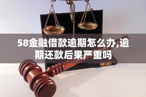 58金融借款逾期怎么办,逾期还款后果严重吗