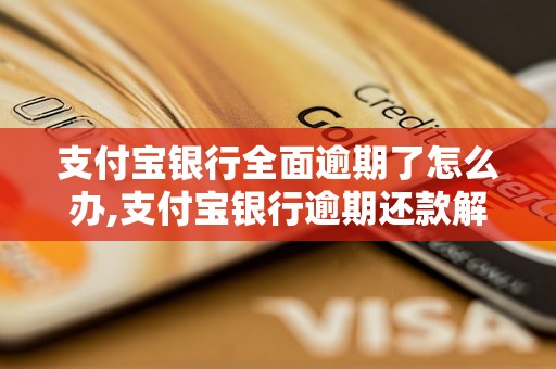 支付宝银行全面逾期了怎么办,支付宝银行逾期还款解决办法