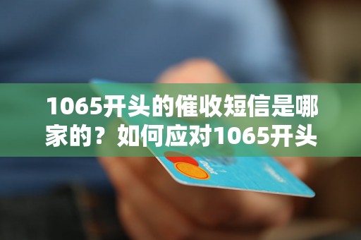 1065开头的催收短信是哪家的？如何应对1065开头的催收短信？