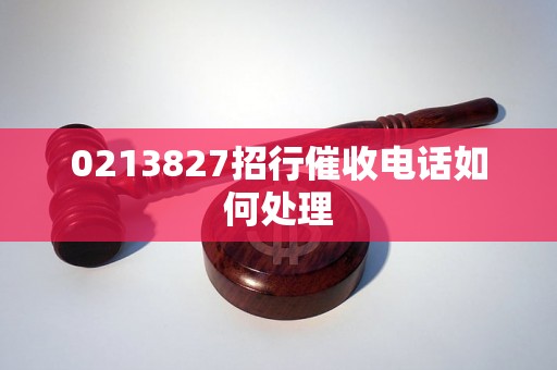 0213827招行催收电话如何处理