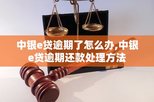 中银e贷逾期了怎么办,中银e贷逾期还款处理方法