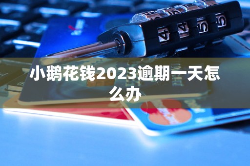 小鹅花钱2023逾期一天怎么办