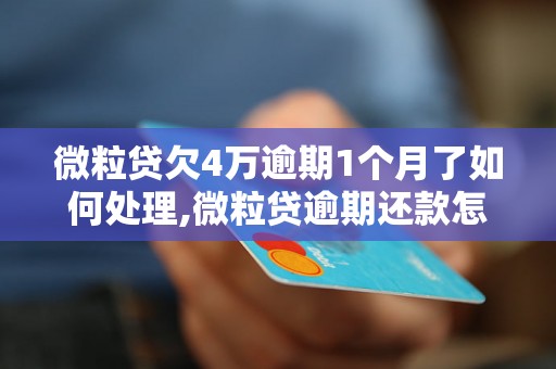 微粒贷欠4万逾期1个月了如何处理,微粒贷逾期还款怎么办