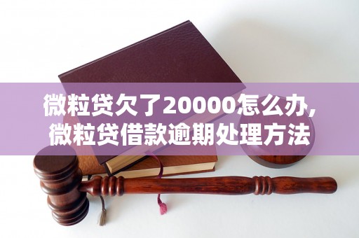 微粒贷欠了20000怎么办,微粒贷借款逾期处理方法