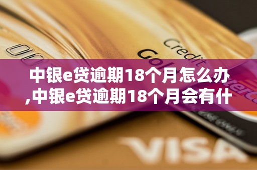 中银e贷逾期18个月怎么办,中银e贷逾期18个月会有什么后果