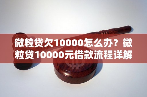 微粒贷欠10000怎么办？微粒贷10000元借款流程详解