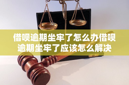 借呗逾期坐牢了怎么办借呗逾期坐牢了应该怎么解决