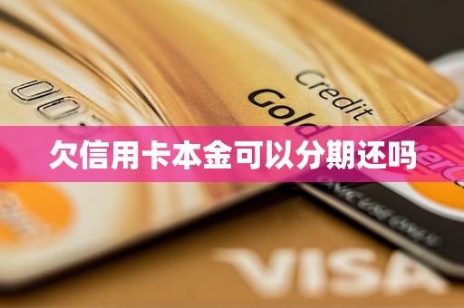 欠信用卡本金可以分期还吗